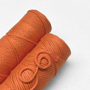 two rolls of orange zest laying flat on white background